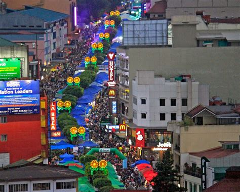 baguio botanical garden directory|Bonsai pine trees to line Baguio's major roads .